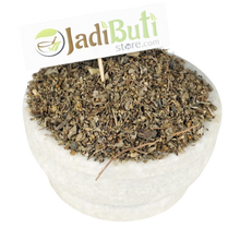 Bhuin Amla भुई आमला stonebreaker  - Phyllanthus niruri