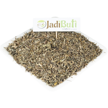 Bhuin Amla भुई आमला stonebreaker  - Phyllanthus niruri