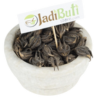 Kaknasa / Baghnakhi / काकनासा — dark horned fruit pods on a bowl