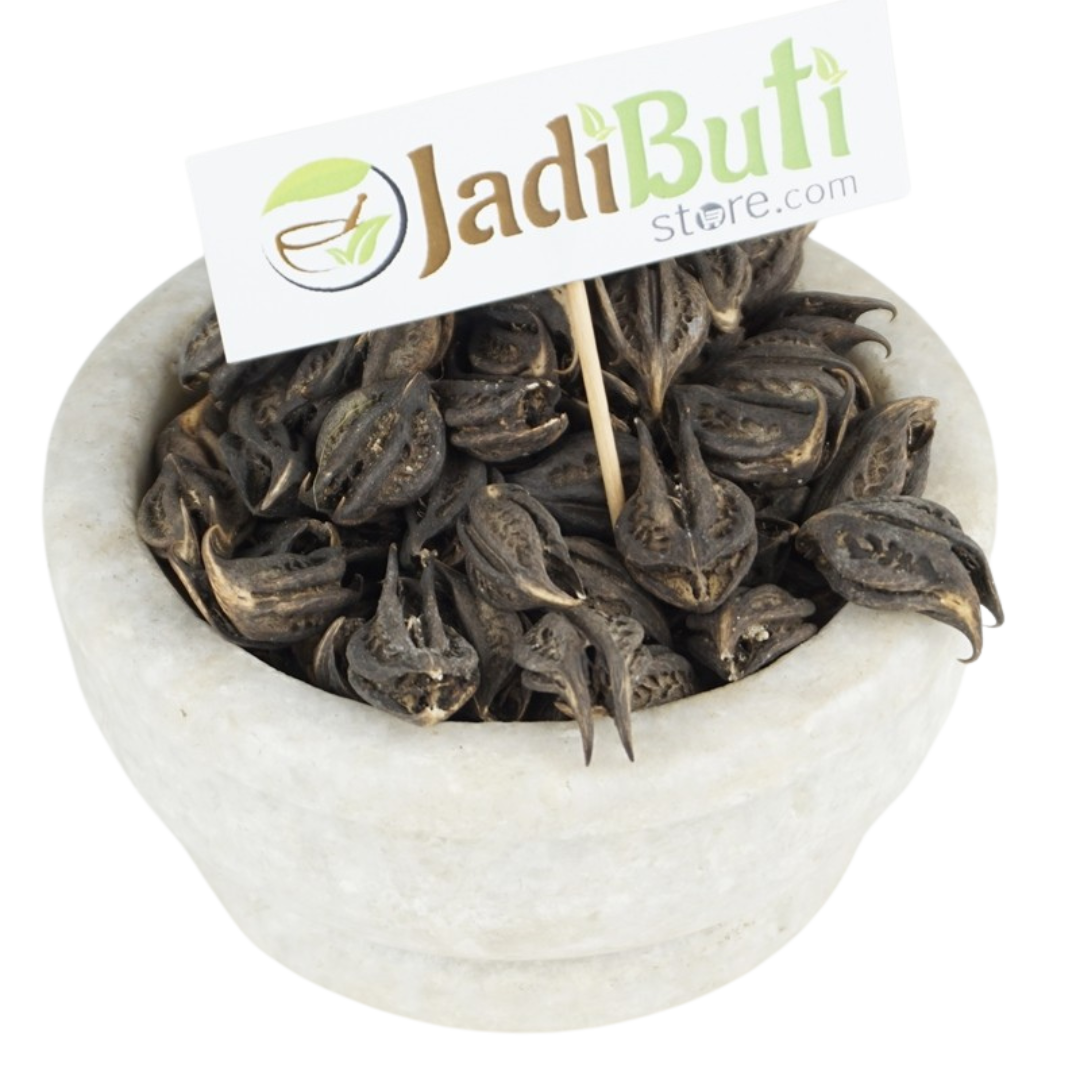 Kaknasa / Baghnakhi / काकनासा — dark horned fruit pods on a bowl