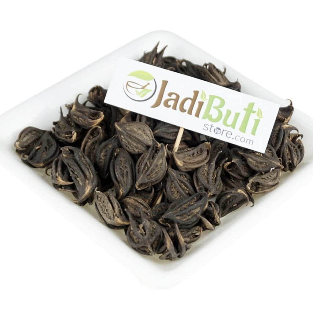 Kaknasa / Baghnakhi / काकनासा — dark horned fruit pods on a square plate