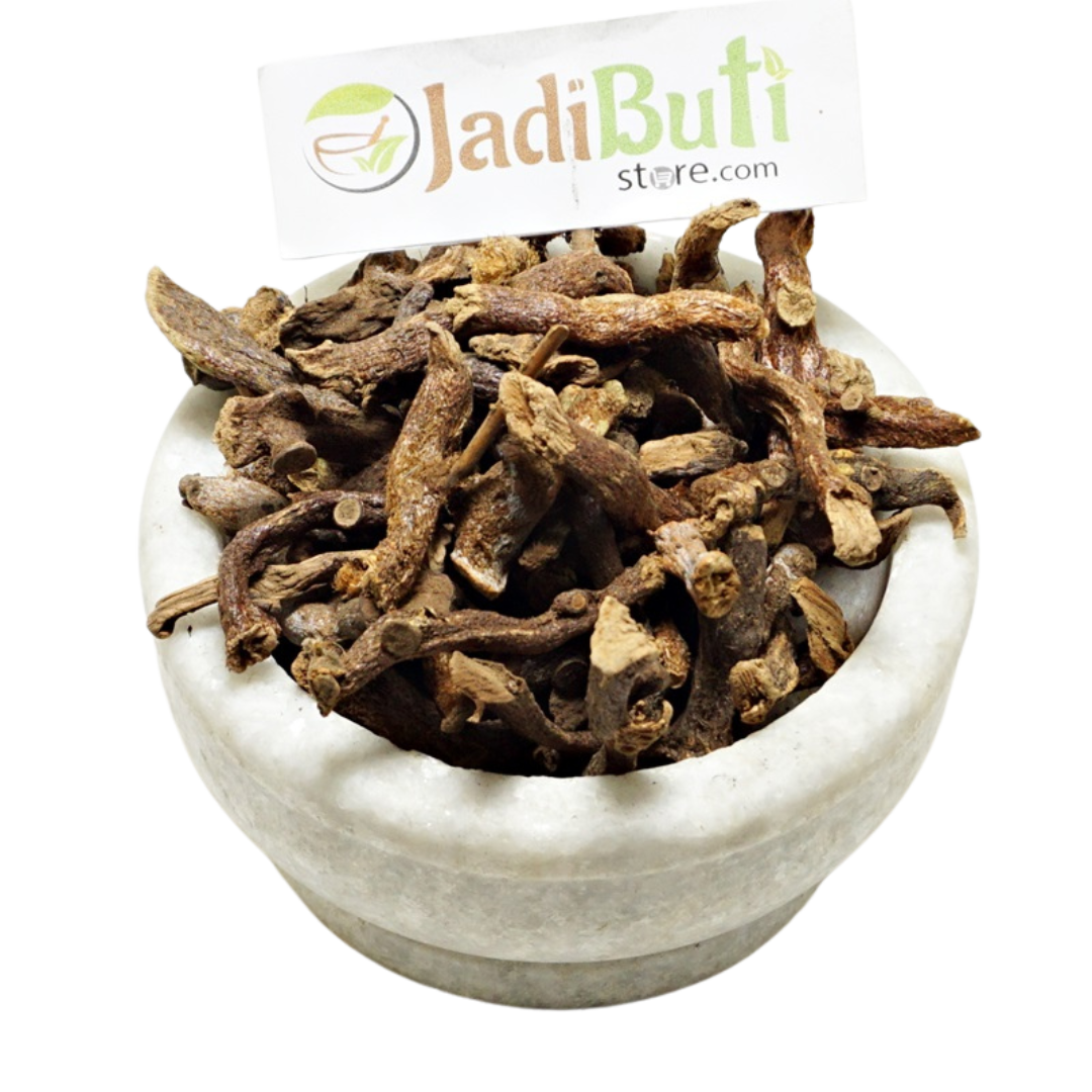 Bisfayej rhizome / Polypody (Polypodium vulgare) - Jadibuti Store