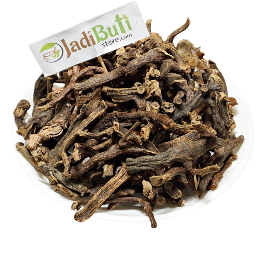 Bisfayej (बिसफेज) natural Polypodium vulgare rhizome