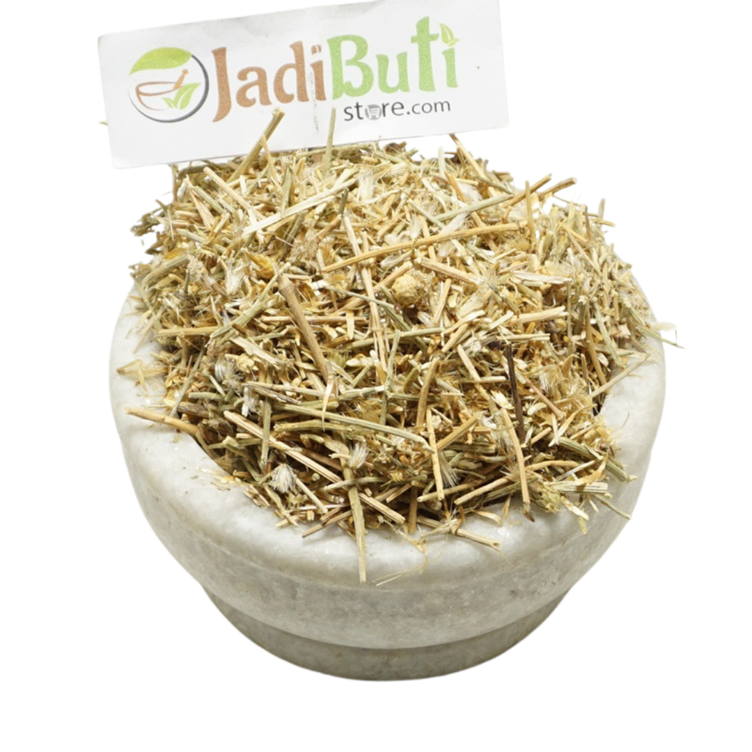 Bhramhi dandi - ब्रह्मी डंडी - Camel’s Thistle - Tricholepis angustifolia