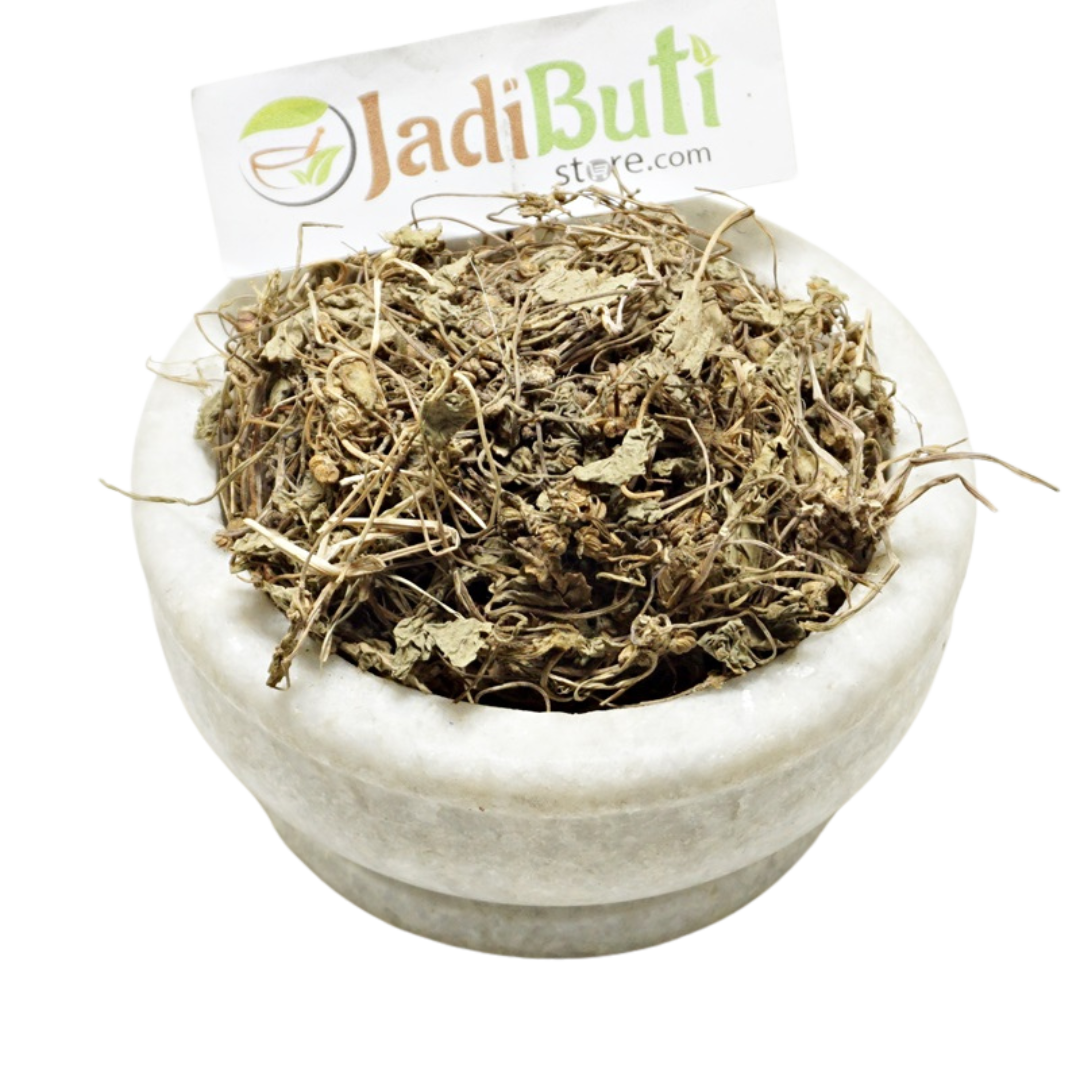 Natural Brahmi Mandukaparni dried leafy herb and thin stems in a stone bowl — Jadibuti Store