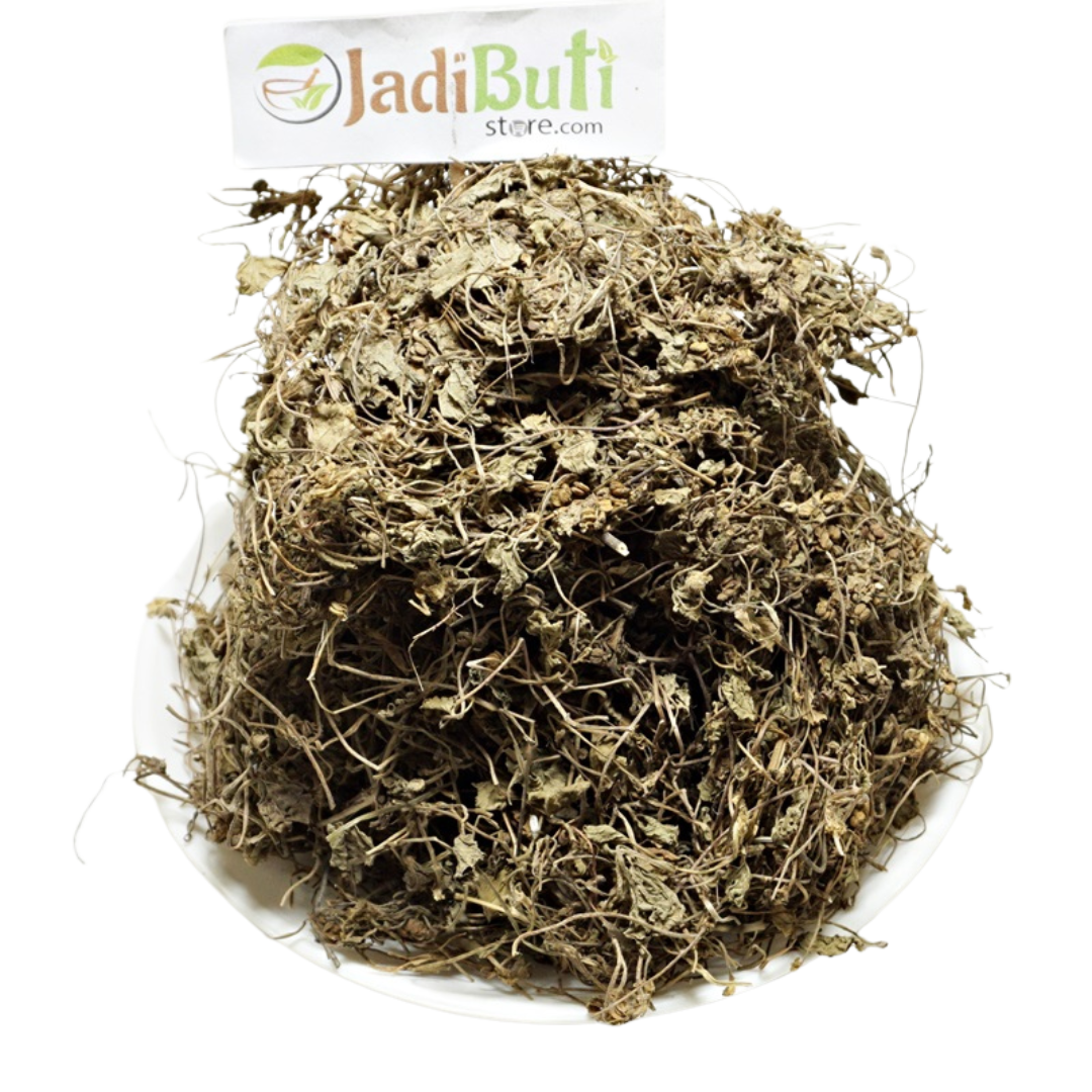 Natural Brahmi Mandukaparni dried herb and thin stems on a white plate — Jadibuti Store