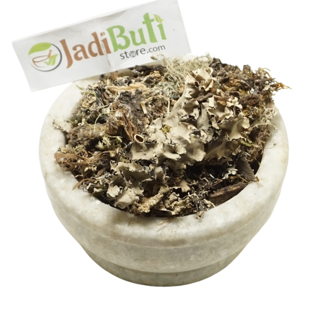 Chadila / Stone Flower lichen (Parmotrema perlatum) - Jadibuti Store