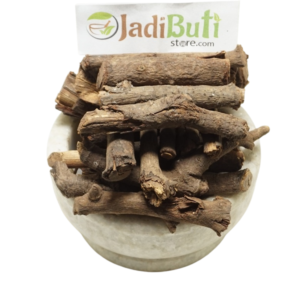 Chitrak root / Chitrakmool (Plumbago zeylanica) - Jadibuti Store