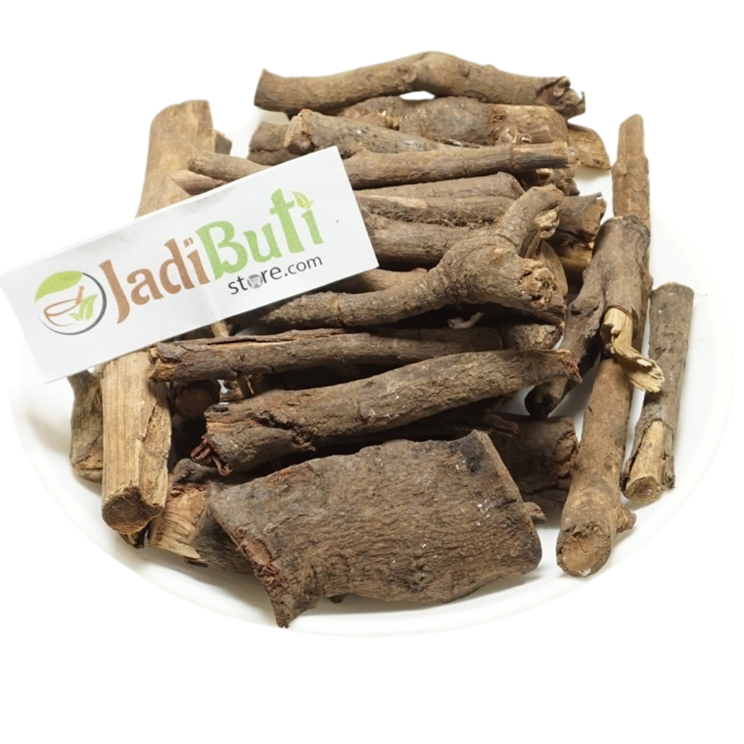 Chitrak Root (चित्रक मूल), Plumbago zeylanica - Jadibuti Store