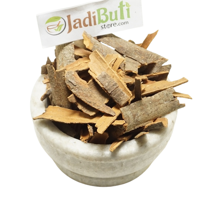 Dalchini irregular tan and brown cinnamon bark pieces in a stone bowl — Jadibuti Store