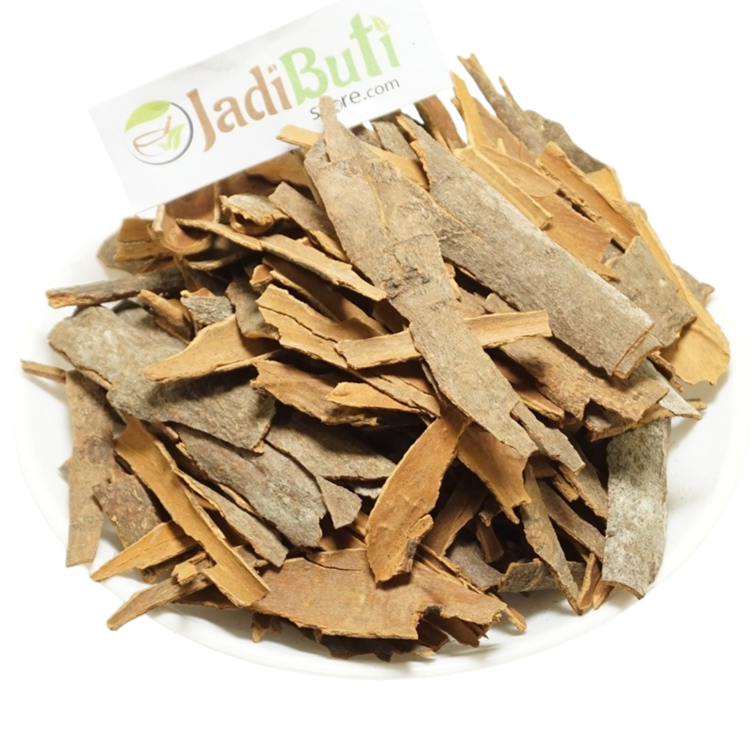 Dalchini irregular tan and brown cinnamon bark pieces on a white plate — Jadibuti Store