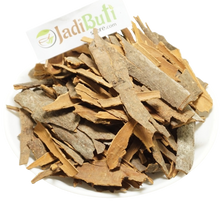 Dalchini - दालचीनी - Cinnamon Bark - Cinnamomum zeylanicum