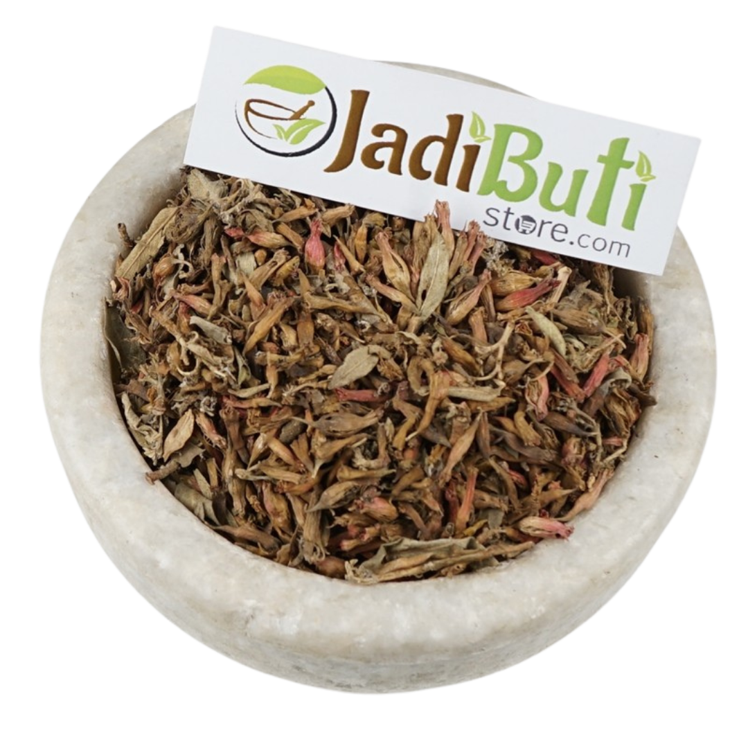 Dhaya Phool / Dhataki flower (Woodfordia fruticosa) - Jadibuti Store