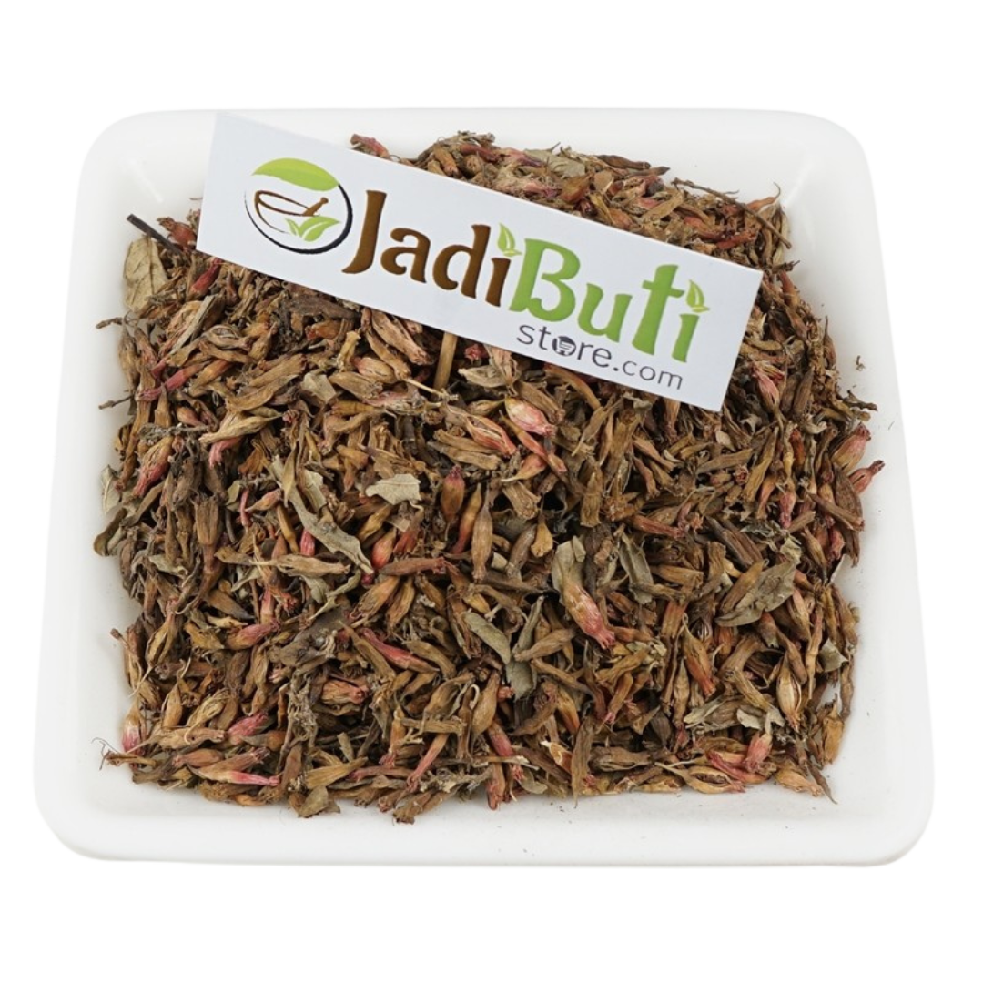 Dhaya Phool (धाय फूल) natural dried Woodfordia fruticosa flower