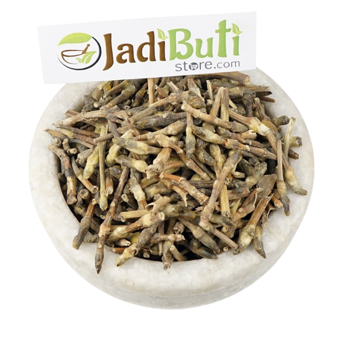 Dhikamali resinous exudate (Gardenia gummifera) - Jadibuti Store