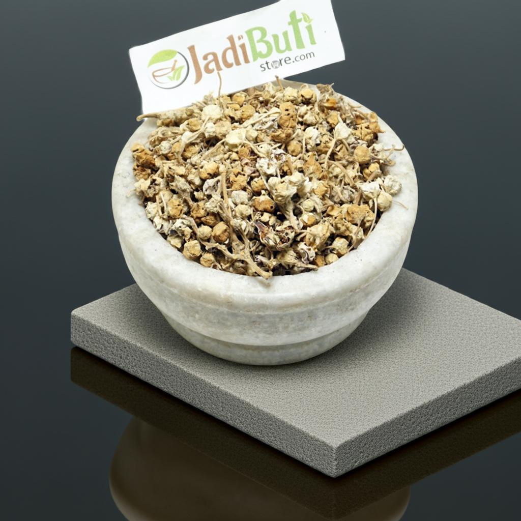 AAK - आक फूल - MADAR - Calotropis Gigantea