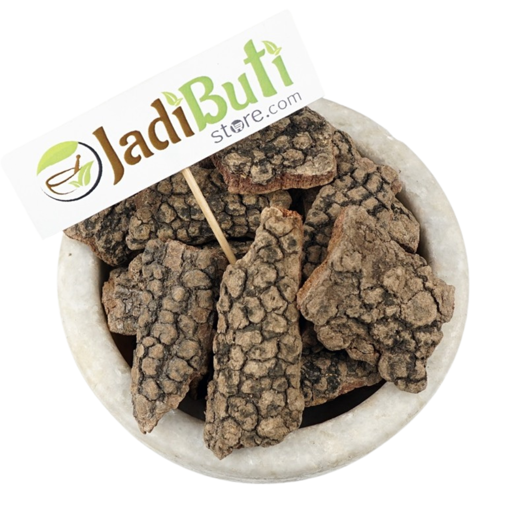 Gambhari Powder (Gmelina arborea) - Jadibuti Store