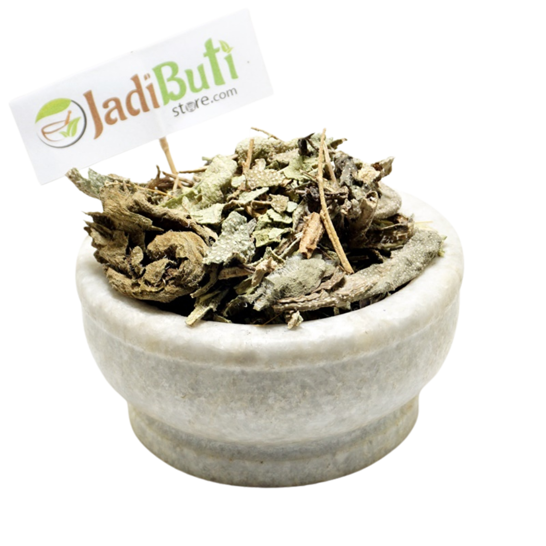 Gazwan / Gao Zaban dried leaf (Maharanga bracteata; syn. Onosma bracteata) - Jadibuti Store