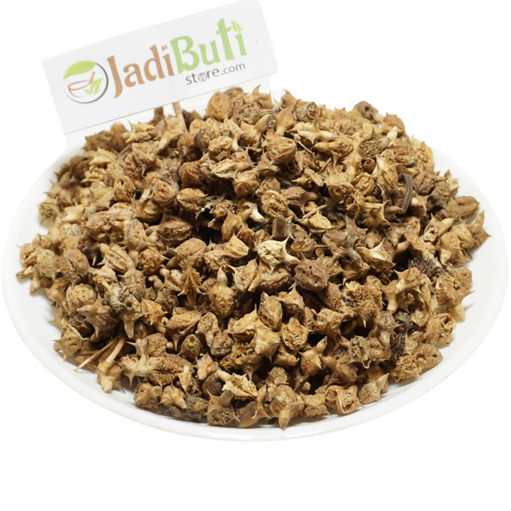 Gokhru Bada natural and powder - Large Caltrops - Jadibuti Store