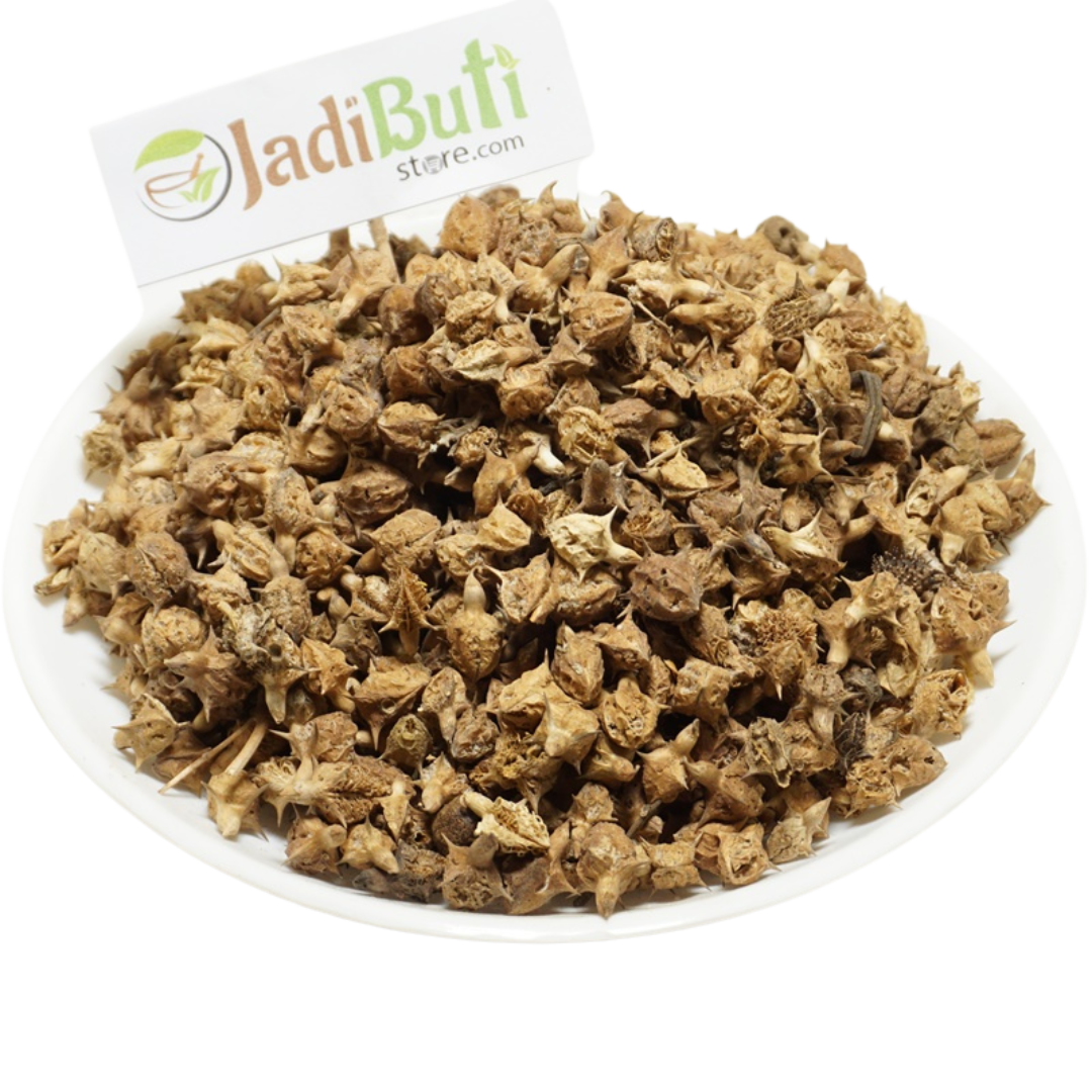 Gokhru Bada natural and powder - Large Caltrops - Jadibuti Store