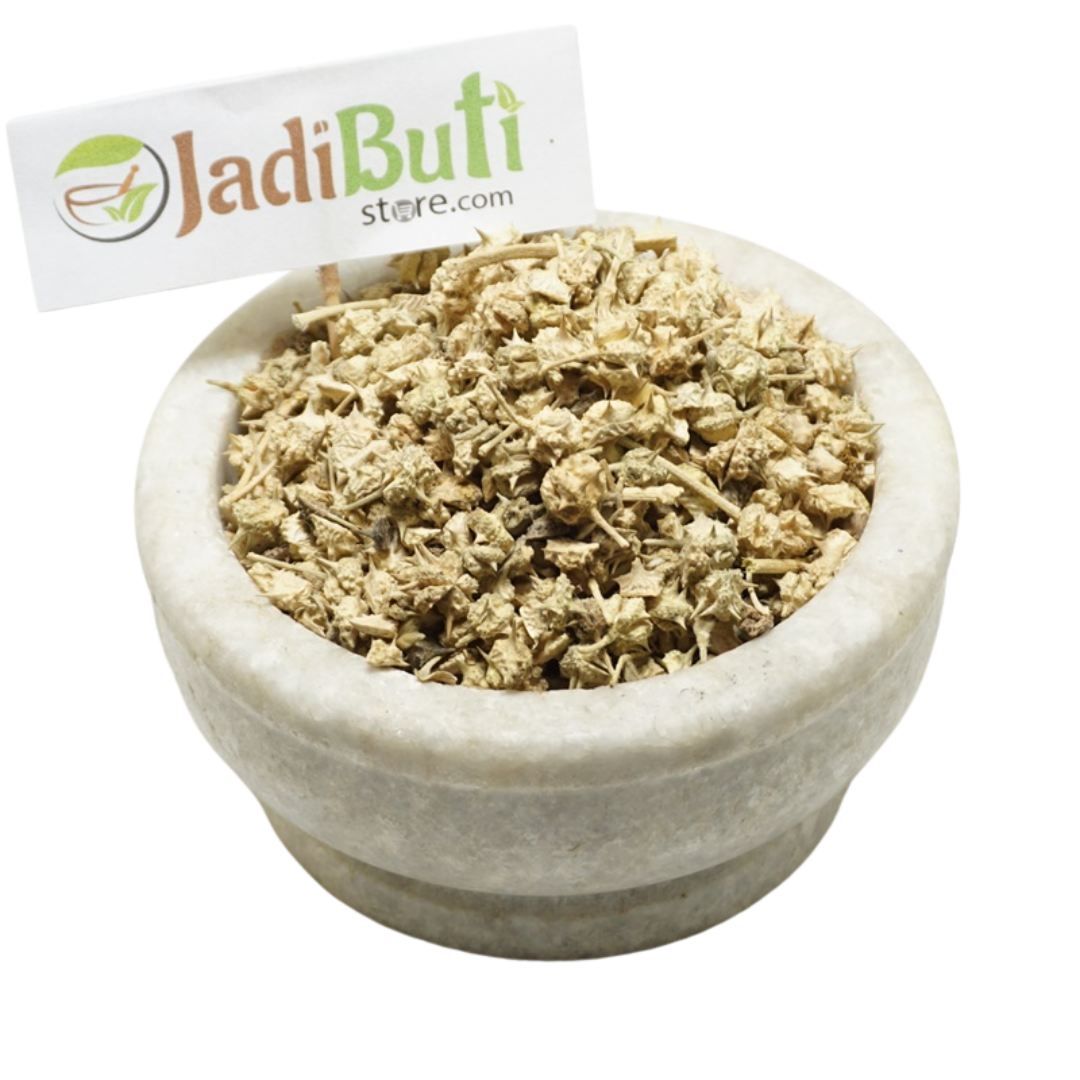 Gokhru Chota -  गोखरू छोटा - Small Caltrops - Tribulus Terrestris