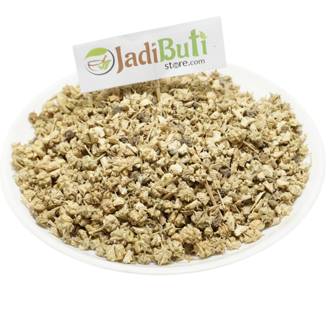 Gokhru Chota -  गोखरू छोटा - Small Caltrops - Tribulus Terrestris