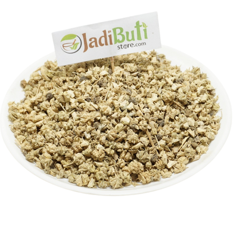 Gokhru Chota -  गोखरू छोटा - Small Caltrops - Tribulus Terrestris