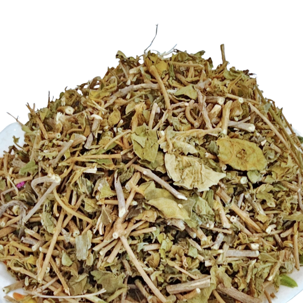Gudmar listed leaf material with leaf fragments and stalk-like pieces on a white rectangular plate — Jadibuti Store