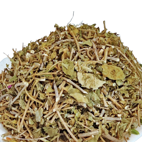 Gudmar - Sugar Destroyer - Madhunashini - Gymnema sylvestre