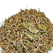 Gudmar - Sugar Destroyer - Madhunashini - Gymnema sylvestre
