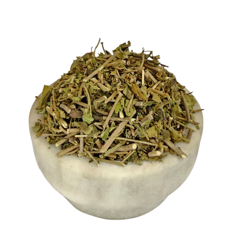 Gudmar - Sugar Destroyer - Madhunashini - Gymnema sylvestre