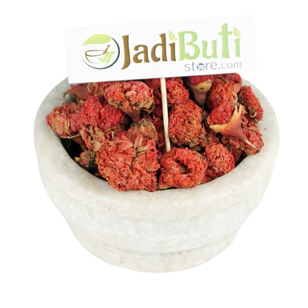 Gul Anar / Gulnar dried pomegranate flower (Punica granatum) - Jadibuti Store