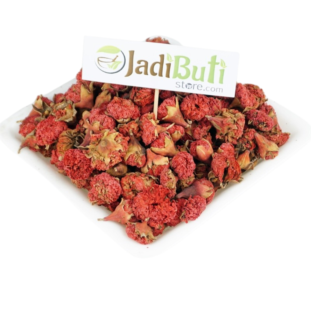 Gul Anar natural pomegranate flower - Punica granatum
