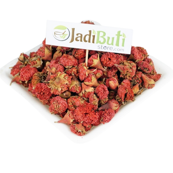 Gul Anar - Pomegranate Flower