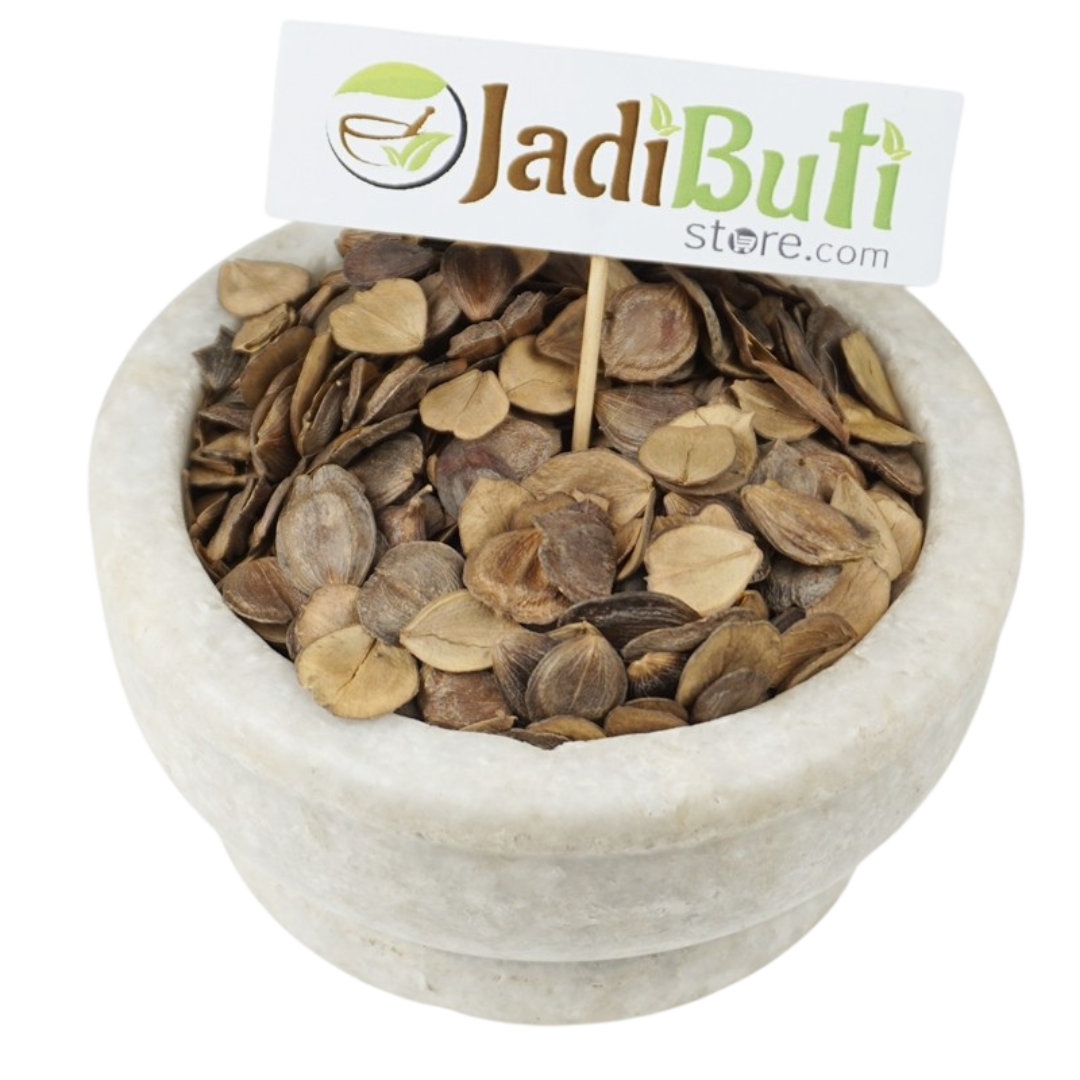 harsingar plant seeds Harsingar (Parijat) Seeds – Ayurvedic Remedy for Pain & Immunity – Jadibuti Store