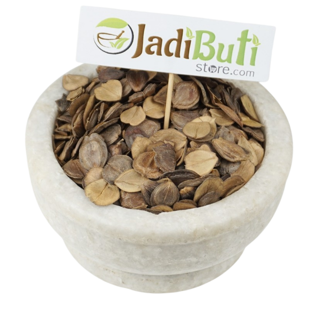 Harsingar / Parijat seeds (Nyctanthes arbor-tristis) - Jadibuti Store