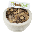 Harsingar / Parijat seeds (Nyctanthes arbor-tristis) - Jadibuti Store