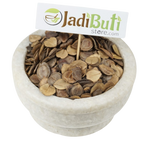 Harsingar / Parijat seeds (Nyctanthes arbor-tristis) - Jadibuti Store