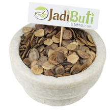 Haarshringar Beej Parijat Seed