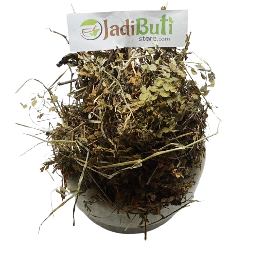 Hansraj / Pariaoshan whole herb powder (Adiantum capillus-veneris) - Jadibuti Store