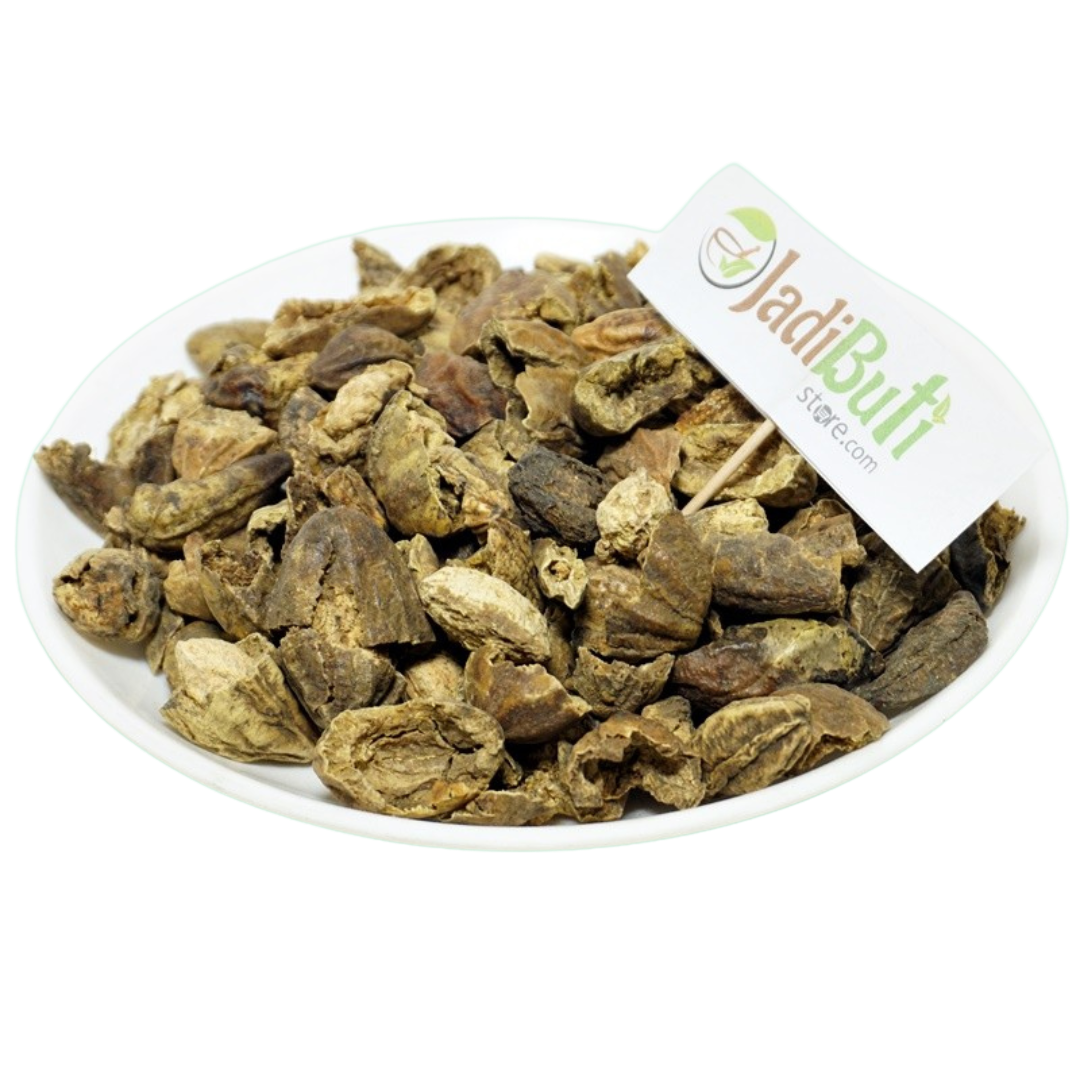 Harad Badi Chilka (हरड़ बड़ी छिलका) - Terminalia chebula