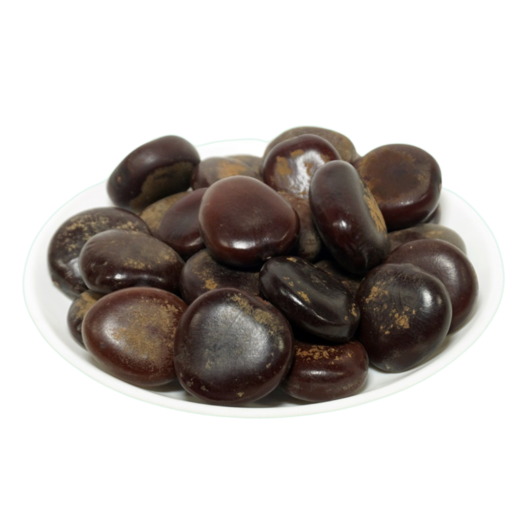 Imli Beej Pahadi - इमली बीज पहाड़ी - Wild Tamarind Seeds - Tamarindus Indica