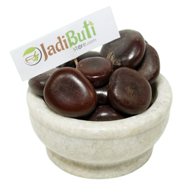 Imli Beej Pahadi - इमली बीज पहाड़ी - Wild Tamarind Seeds - Tamarindus Indica