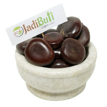 Imli Beej Pahadi - इमली बीज पहाड़ी - Wild Tamarind Seeds - Tamarindus Indica