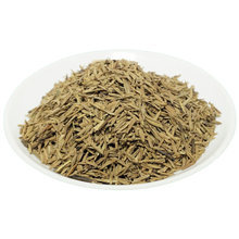 Indrajau Kadva - इन्द्रजु कड़वा - bitter oleander - Holarrhena Pubescens