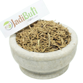 Indrajau Kadva / Indrayava seeds (Holarrhena pubescens) - Jadibuti Store