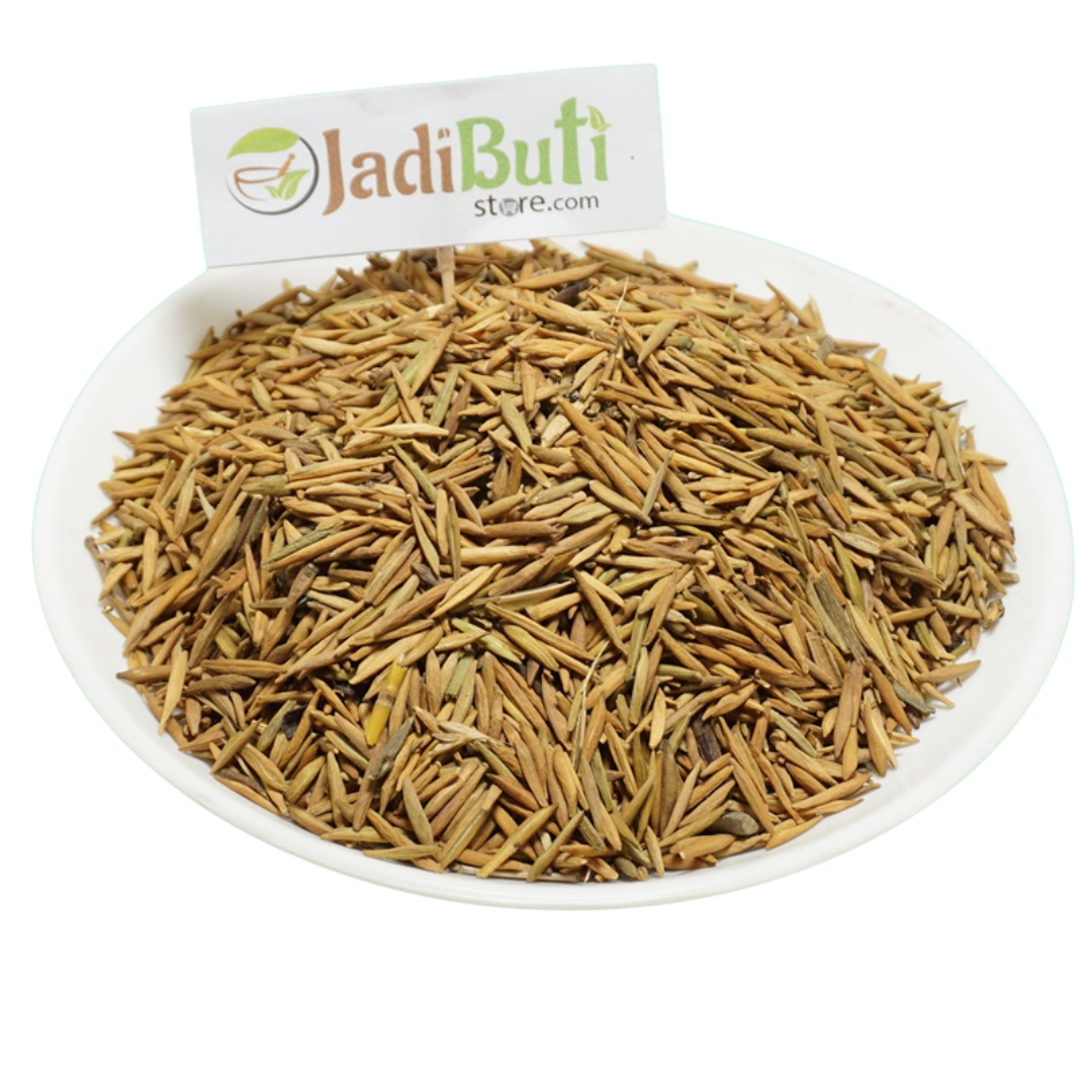 Inderjo Meetha (इन्द्रजौ मीठा) natural Wrightia tinctoria seeds