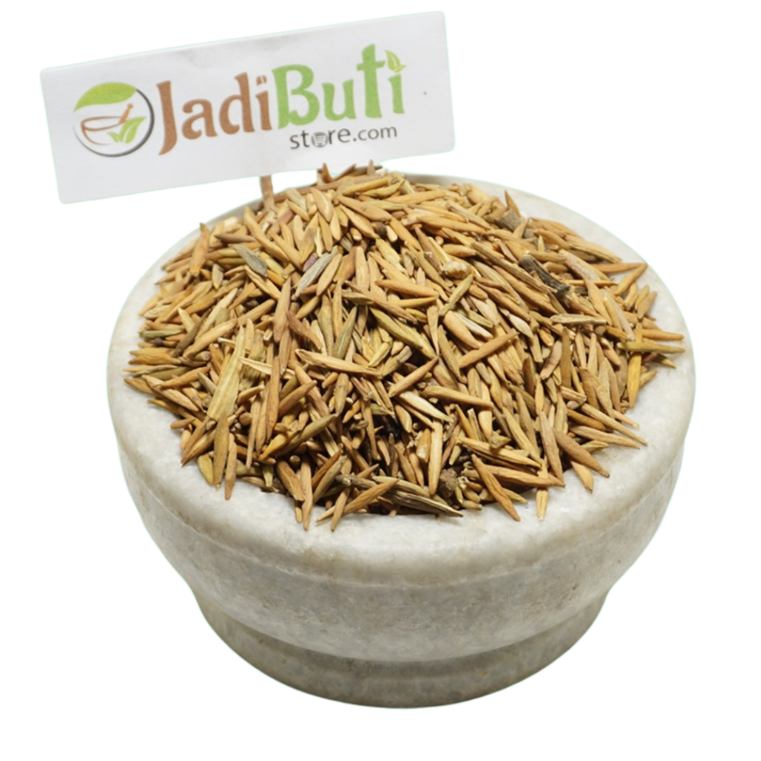 Inderjo Meetha / Sweet Indrajao seeds (Wrightia tinctoria) - Jadibuti Store