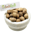 Jaiphal / Nutmeg seed kernel (Myristica fragrans) - Jadibuti Store