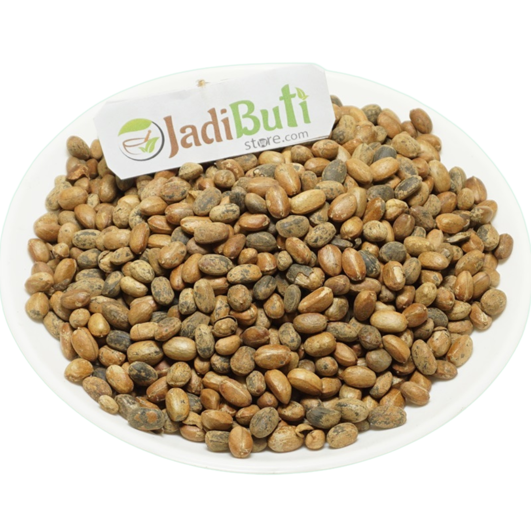 Jamalgota (जमालघोटा) natural Croton tiglium seeds - safety caution